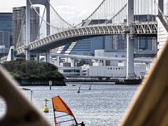 -台场海滨公园船码头