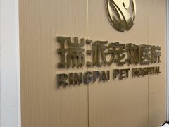 -瑞派康怡24h宠物医院·犬猫医疗中心·微创绝育(瑞景分院)