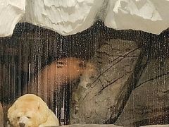 -海合安武汉极地海洋公园