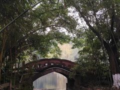 -望江楼公园