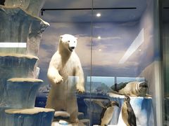 -国家自然博物馆