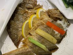 香煎黄鱼鲞-骏莱海鲜鱼港(五角场店)