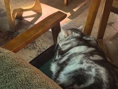 -咖法森林·咖啡  酒吧(天河店)