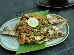 -Ameigo梅果·云贵川bistro(长宁来福士店)