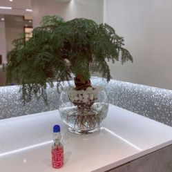 -三只熊皮肤管理中心旗舰店