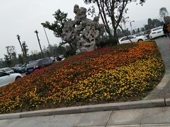 -枫香湖儿童公园