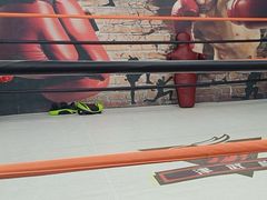 -津武堂散打搏击俱乐部(河西店)