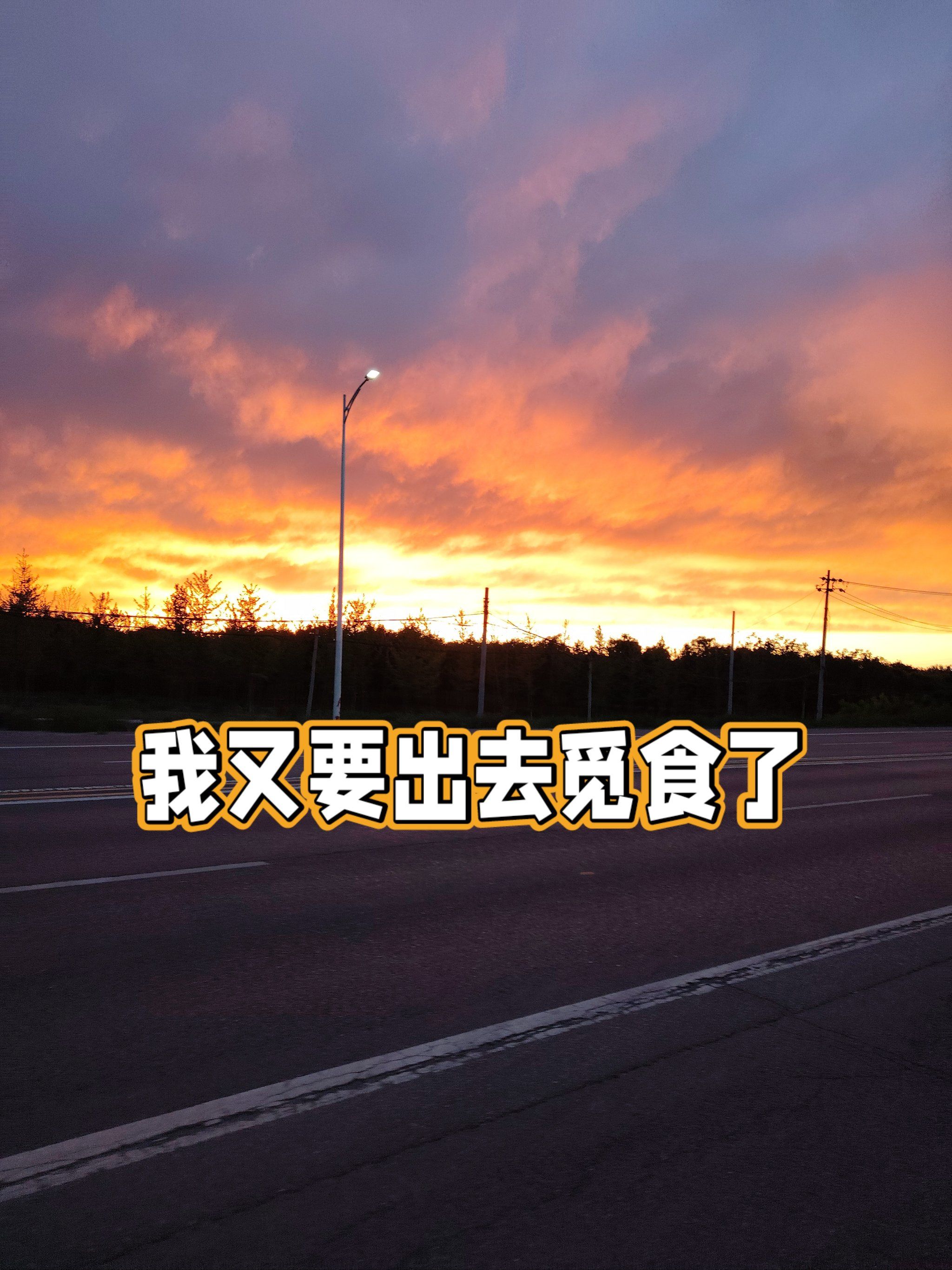 n
不过觅食的过程中也经常能够发现美景,跑出去不仅填饱了肚子