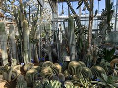 -国家植物园南园