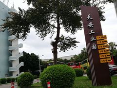 -友强·23年特色海鲜大排档(厦门店)