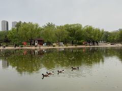 -太阳宫公园