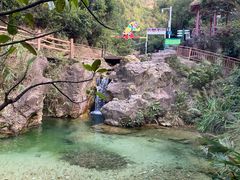 -南海湾森林生态园