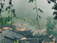 -杨家堂村