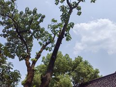 -方回春堂(拱宸桥店)