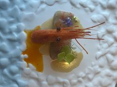 -九献创意菜·牛排馆(亮马河花园店)