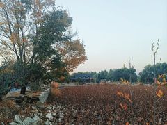 -稻香湖景欢乐岛温泉城堡