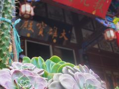 -寂照庵