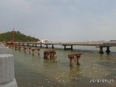 -野狸岛