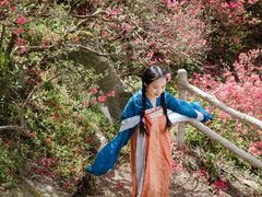 -木兰云雾山