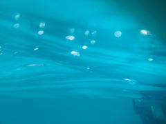 -青鱼湾水上乐园