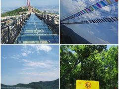 -鲁山国家森林公园