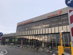 -谢列梅捷沃国际机场