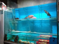 水产区-鲜入围煮花胶鸡海鲜火锅