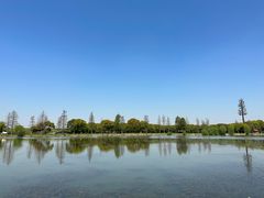 -广富林郊野公园