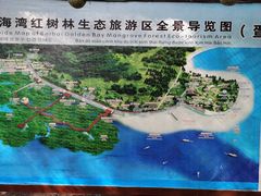 -北海金海湾红树林生态旅游区