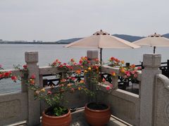 -望海·帆船主题咖啡厅•品茗下午茶(石湖景区店)