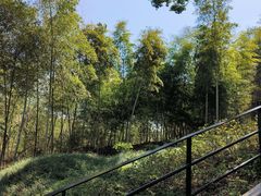 -上海佘山国家森林公园西佘山园