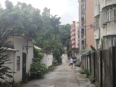 -长洲岛