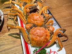 -蟹将军·松叶蟹和牛日料放题自助(K11店)