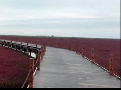 -红海滩国家风景廊道