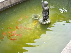 -狼山风景名胜区