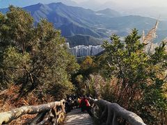 -梧桐山风景名胜区