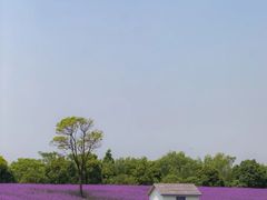 -上海杨姆庄园
