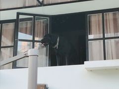 门面-静香HOUSE·全时段融合餐厅(七星欢乐颂店)