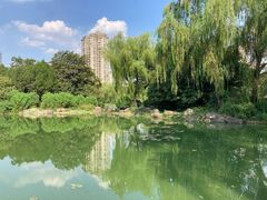 -新虹桥中心花园
