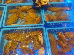 -青岛蓝海御华大饭店（金沙滩店）·蓝钻国际美食自助百汇