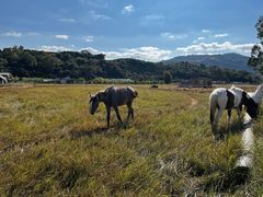 -海门岛七号餐厅