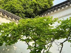 -拙政园