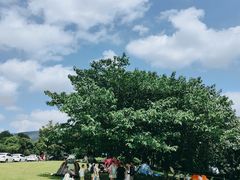 -钟山体育运动公园