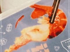 -靓靓蒸虾·头牌蒸虾(南山桂庙店)
