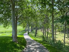 -万柳高尔夫俱乐部