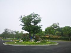 -羊山湖公园
