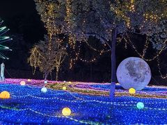 -白马涧龙池景区