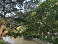 -江心屿景区