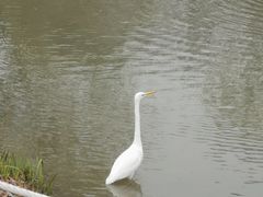 -西安浐灞国家湿地公园