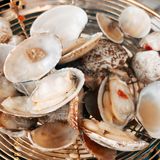 北京新店｜老文昌糟粕醋火锅🍲吃一次就爱上了这个味道 夏季开胃